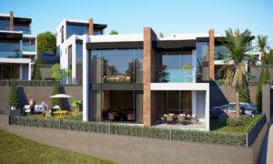 Reflex vadi konakları